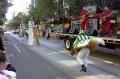 0314-1034 Parade ()